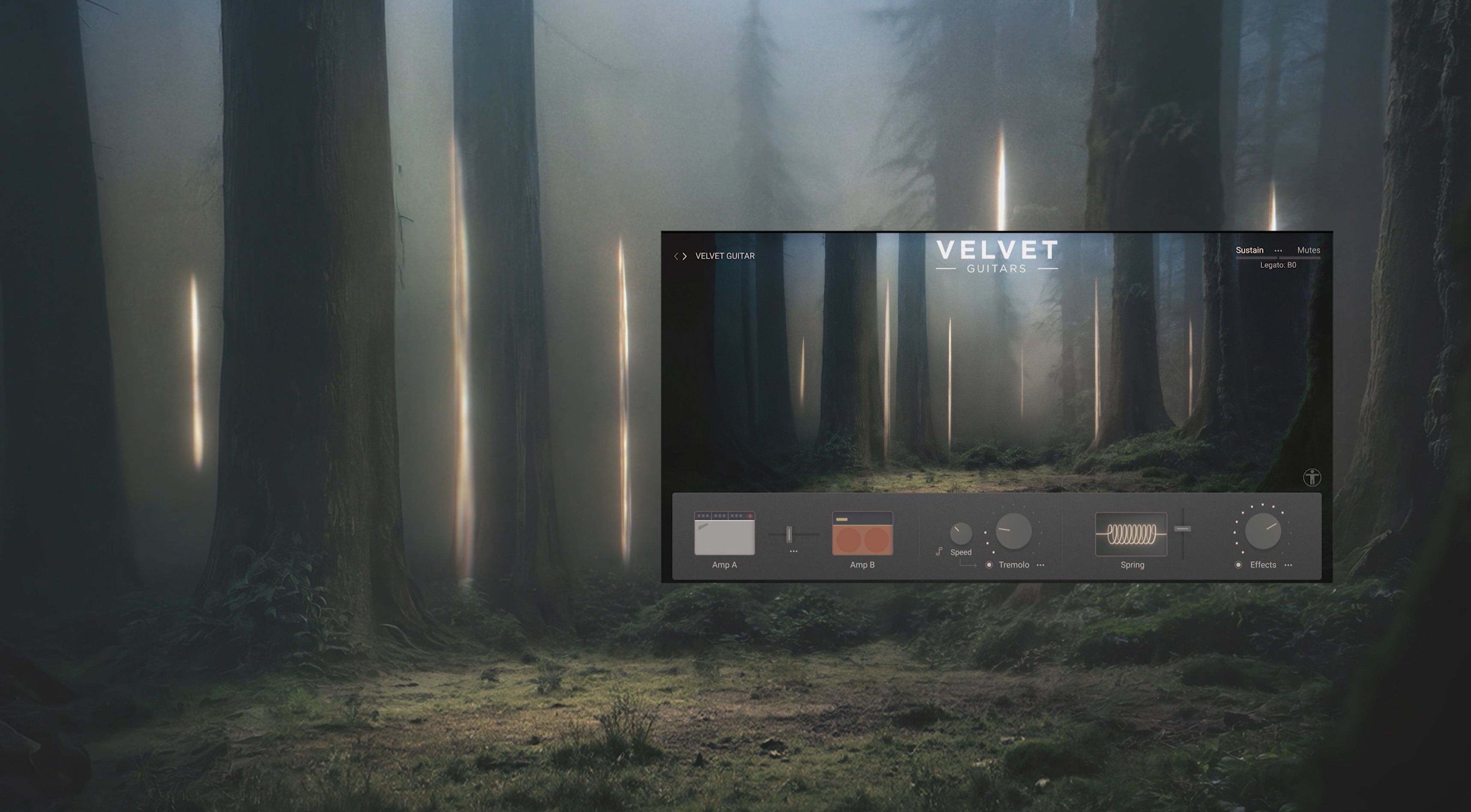 Velvet Video Banner cover image