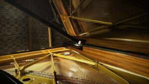 e instruments session keys grand pre sm, Grand Piano,