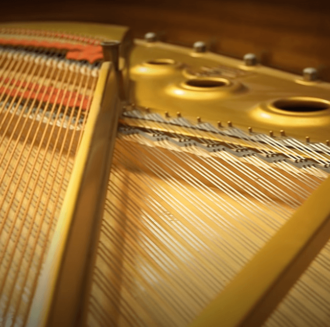 Close up of acoustic bundle